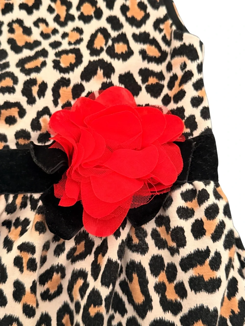 🐆 Kate Spade Girls Leopard Print Party Dress with Red Flower Accent 122/7Y